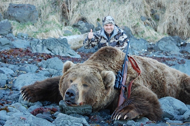 Alaska brown bear hunting